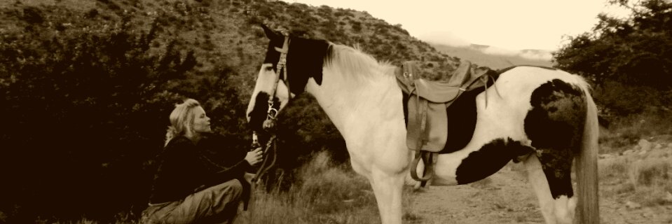 debbibell66's profile banner image