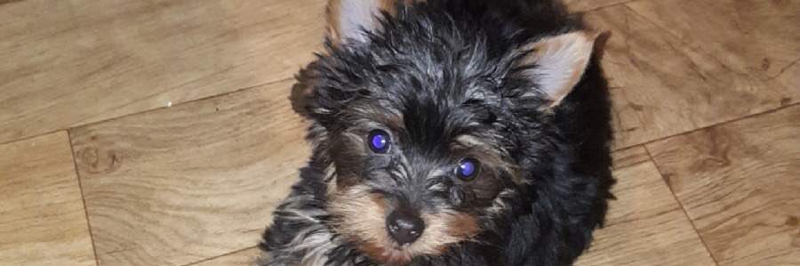 MackynziRhys's profile banner image