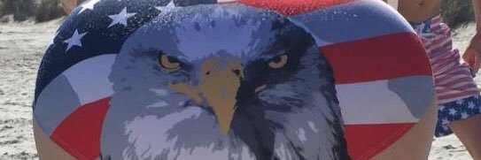 anthonyanzini1's profile banner image