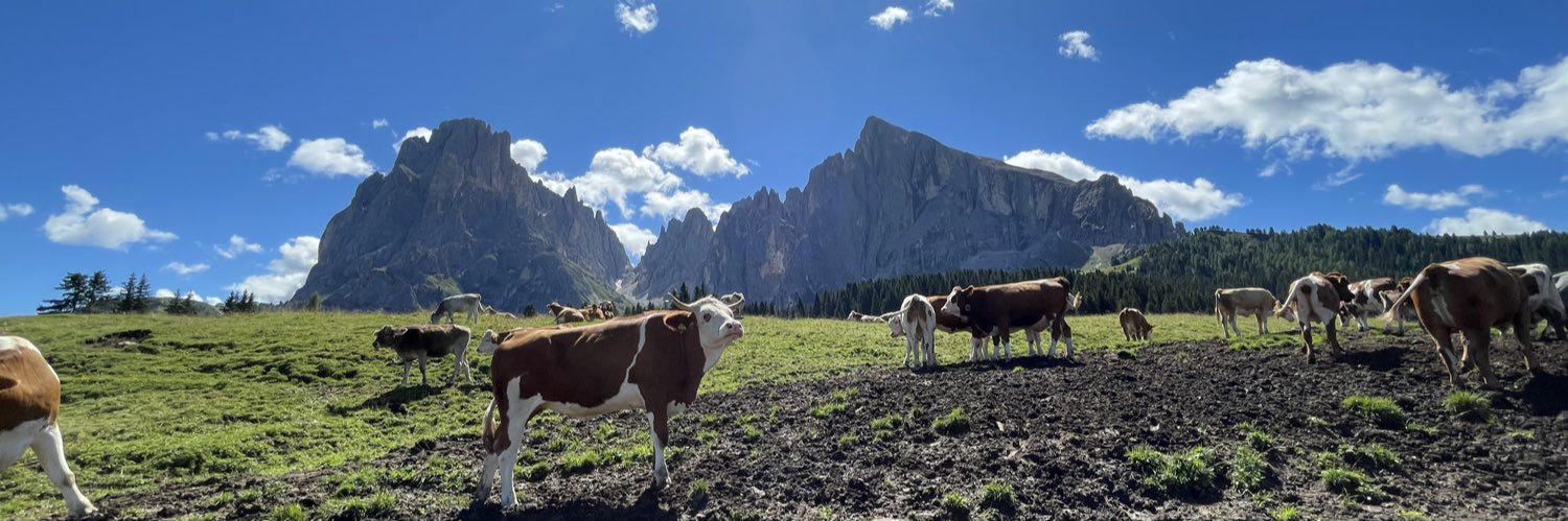 Luca Guazzini banner