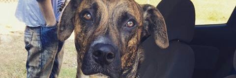 AaronMi1122's profile banner image