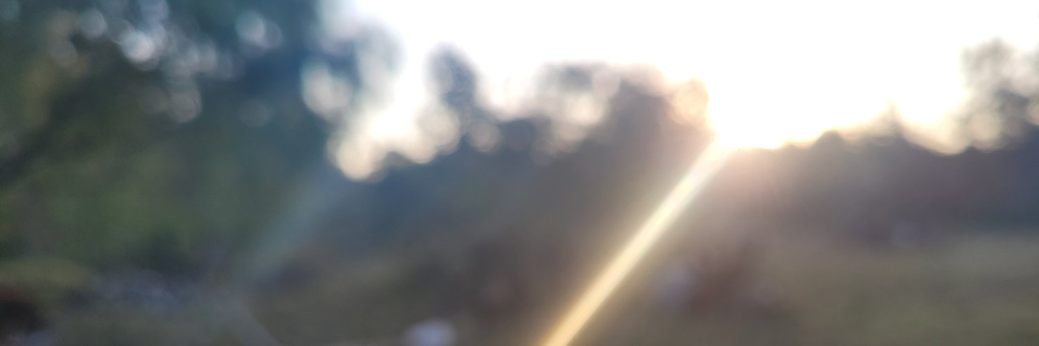 natalia banner
