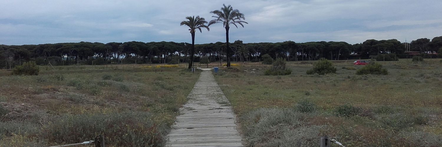 paulavidal0's profile banner image