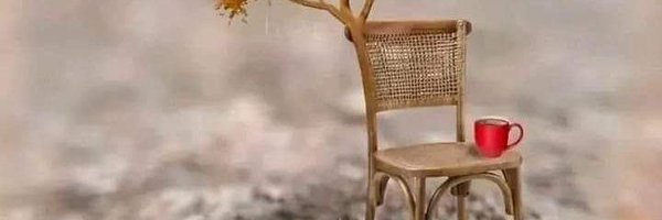 FAtimA20202023 Profile Banner