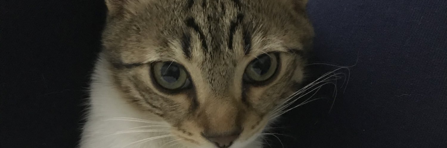 cumhur80's profile banner image