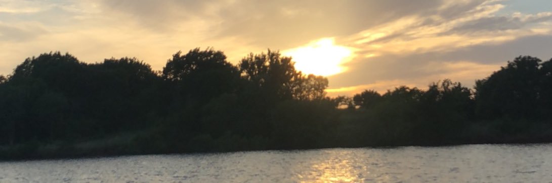 oliveholybee's profile banner image