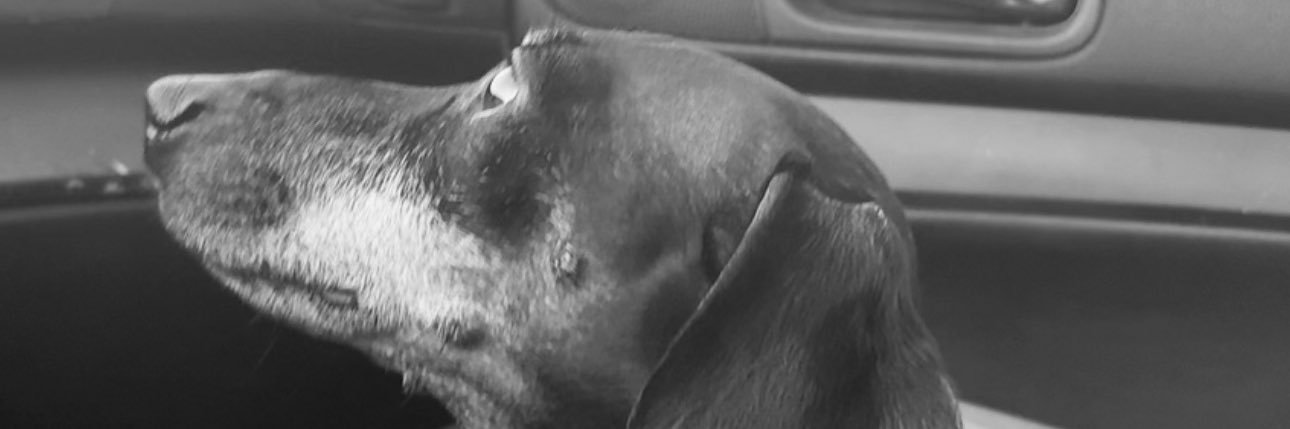 rairai 🪽 banner