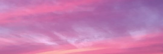 silviatoledom's profile banner image