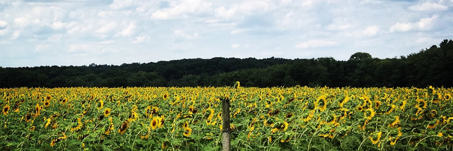JustJess97's profile banner image