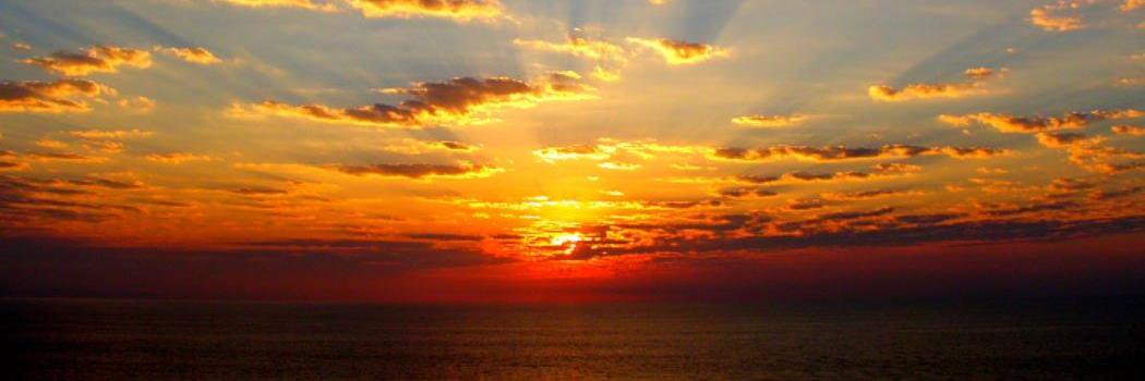 PLSOptimistClub banner