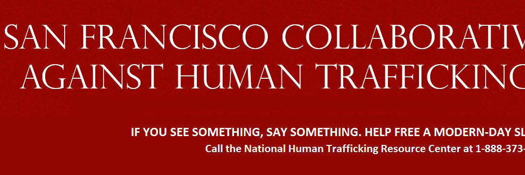 SFCAHT's profile banner image