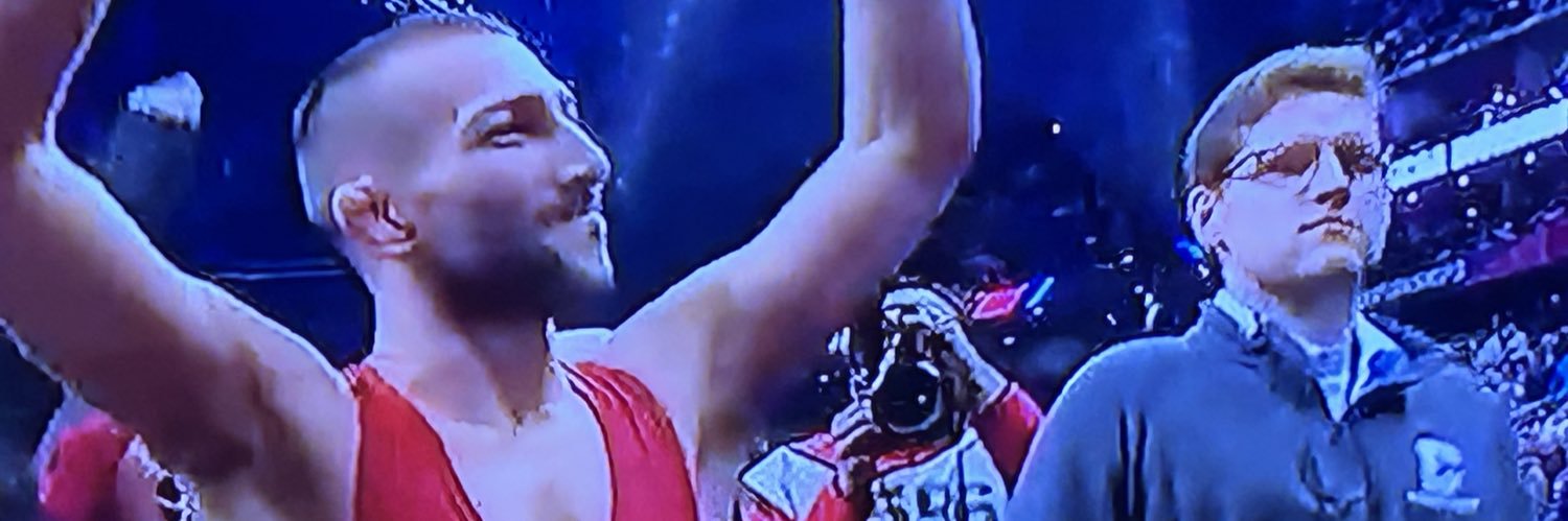 Michael Hogan banner