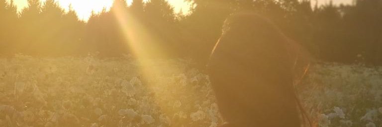 itsstephanysam's profile banner image