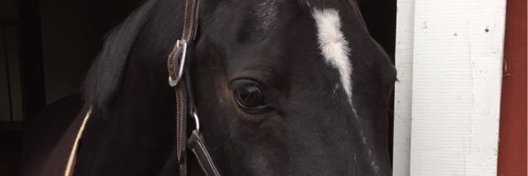 moaagustavsson's profile banner image