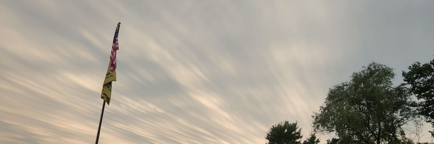 Patriot of the Republic banner