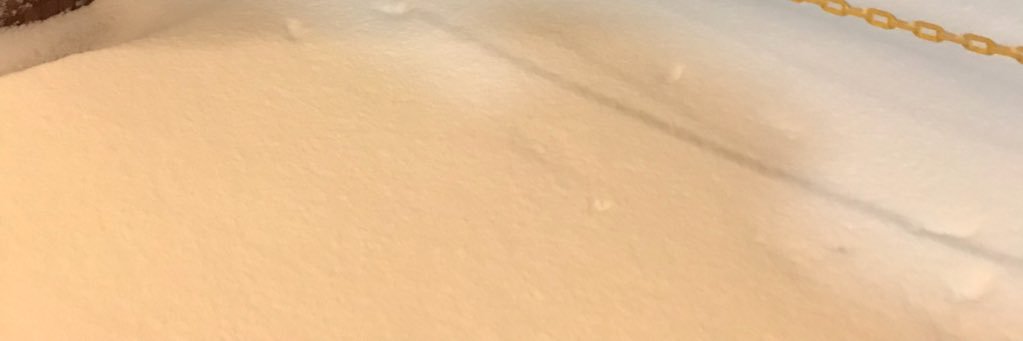 Screamteamm's profile banner image