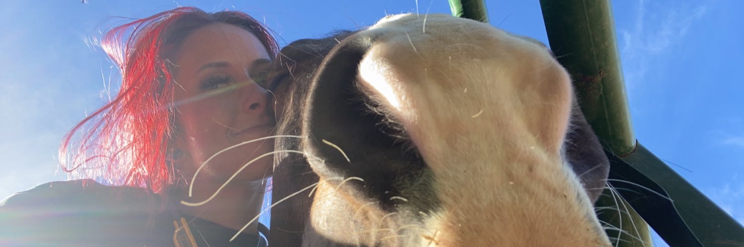 AshleyBeck112's profile banner image