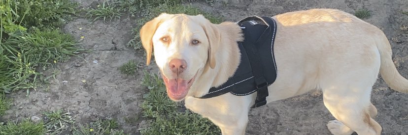 Rosco_29's profile banner image