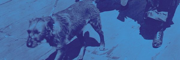SniffThePastDog Profile Banner