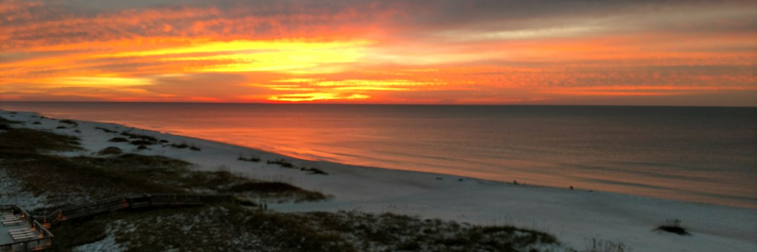 DMAC27_AU's profile banner image