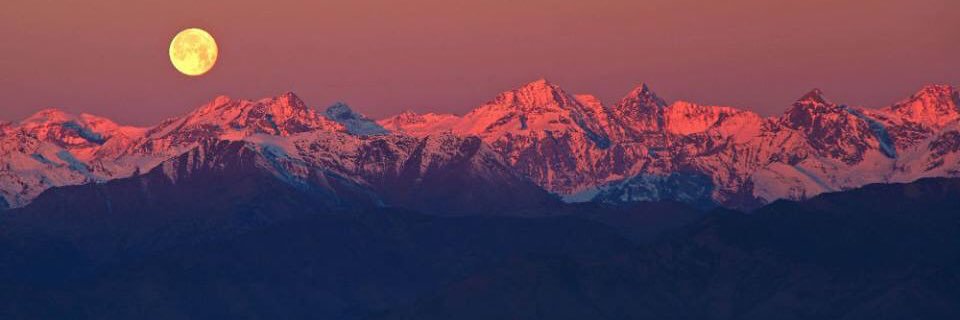 TinyT1973's profile banner image