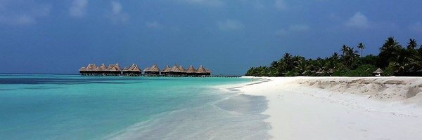 Teffchen Profile Banner