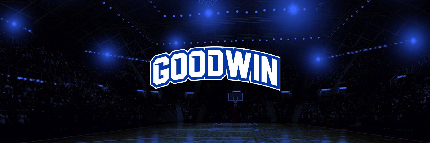 Goodwin banner