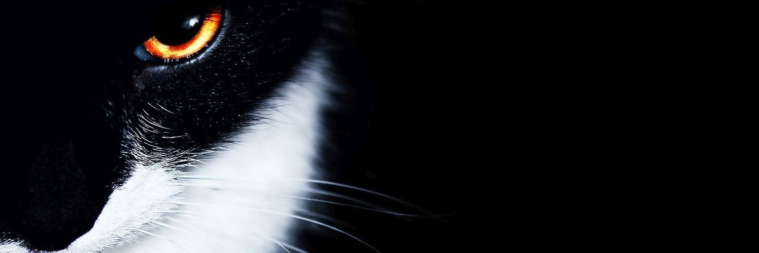 ChaxsWithinMe's profile banner image