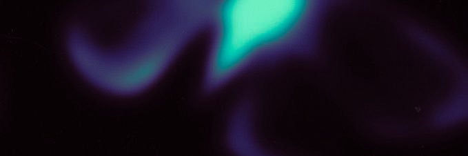 carol banner