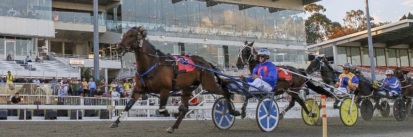 Ryan Warwick banner