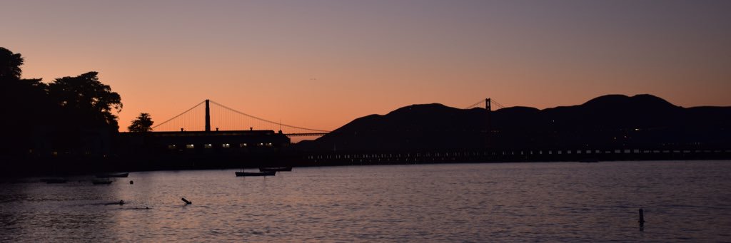 olicampayo's profile banner image