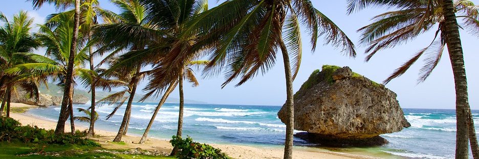 Mariah Celeste | Publicist banner