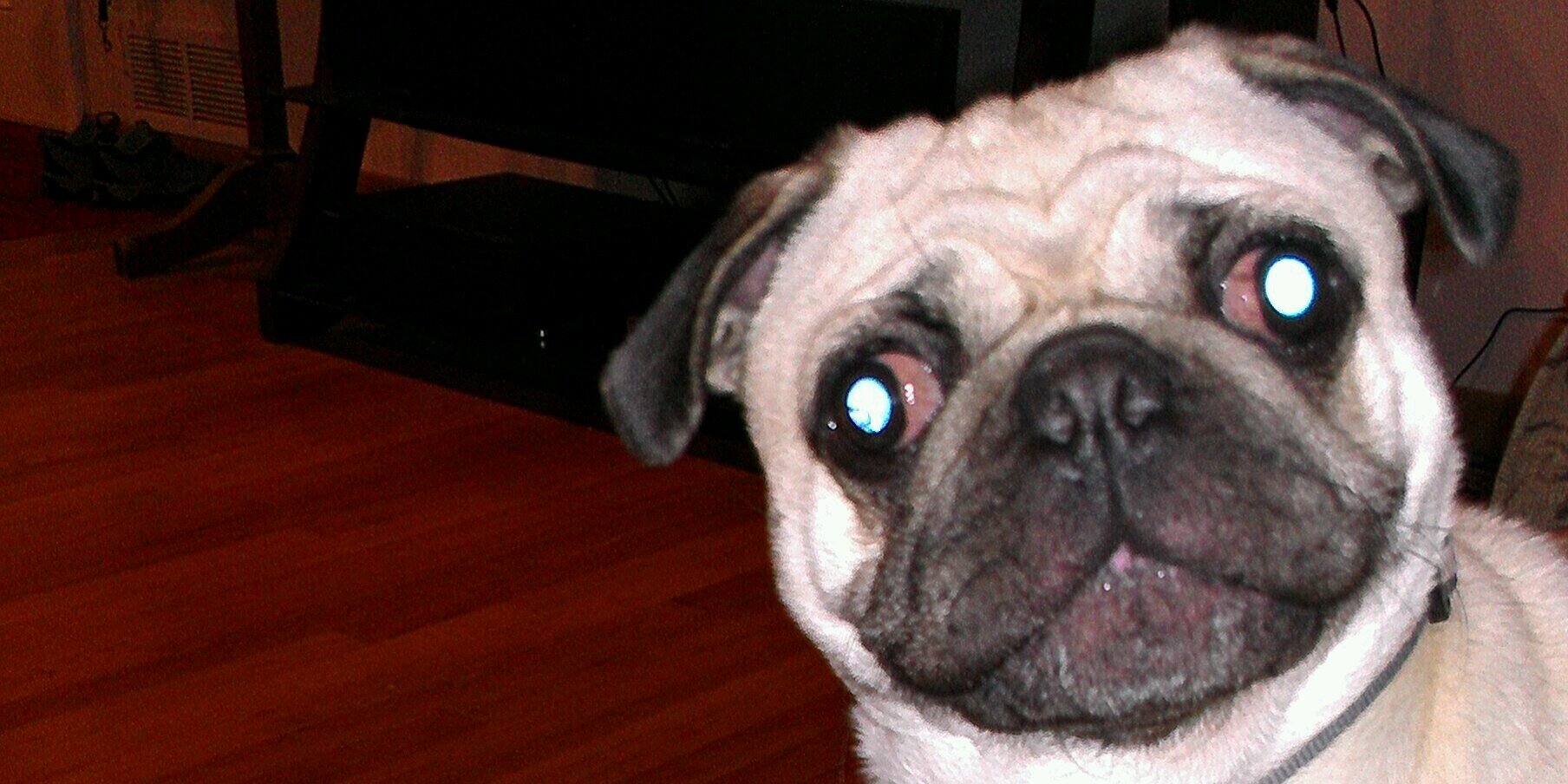 MarkPugster67's profile banner image