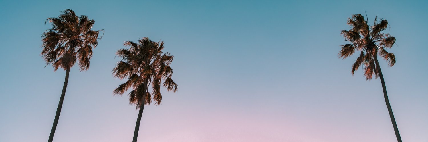 ThomasLandal's profile banner image