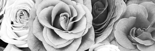patix1212's profile banner image