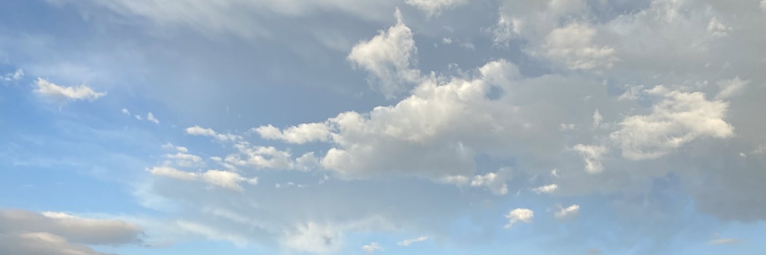 thekaleydowell's profile banner image
