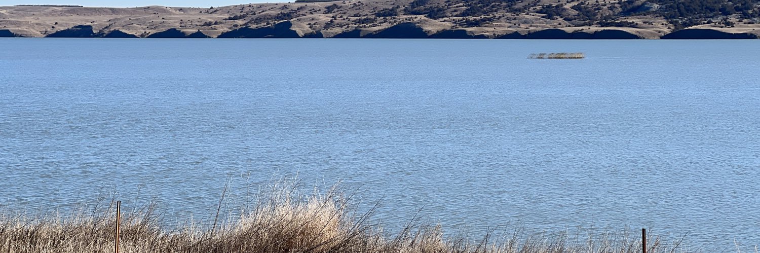 Next🇺🇸Move banner