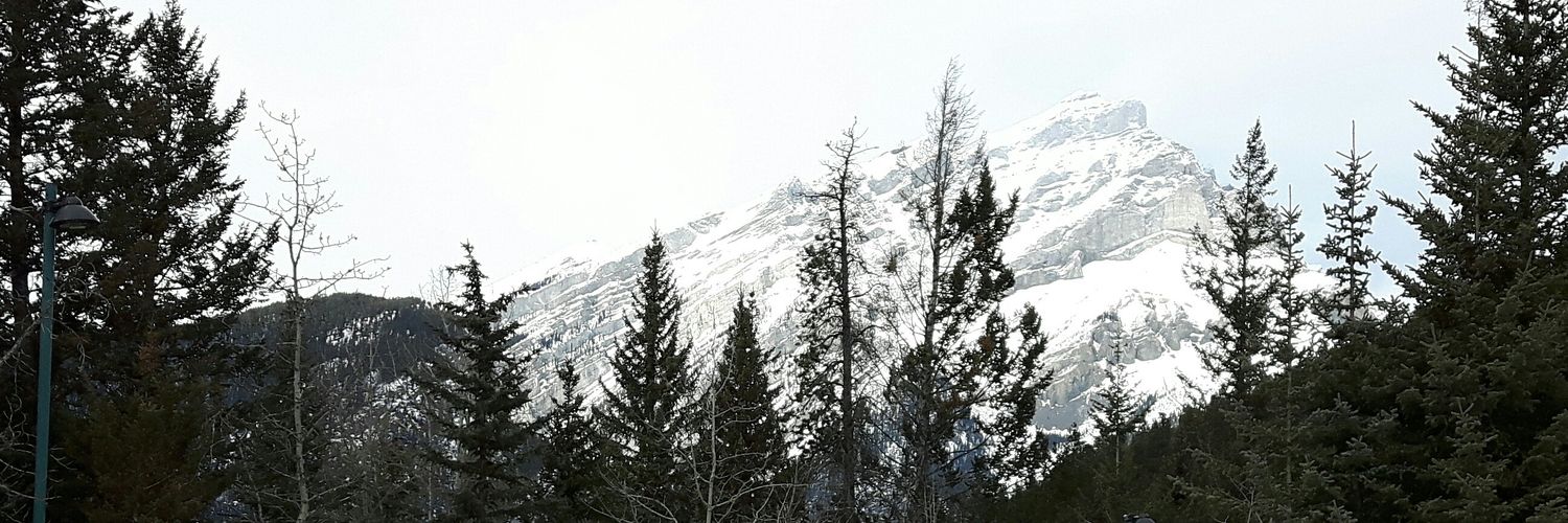 WilhelmBraun's profile banner image