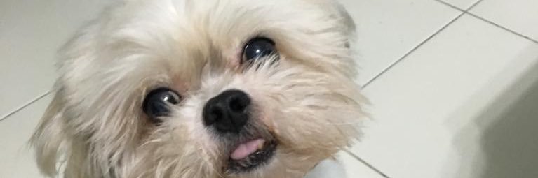 bryanfoong_'s profile banner image