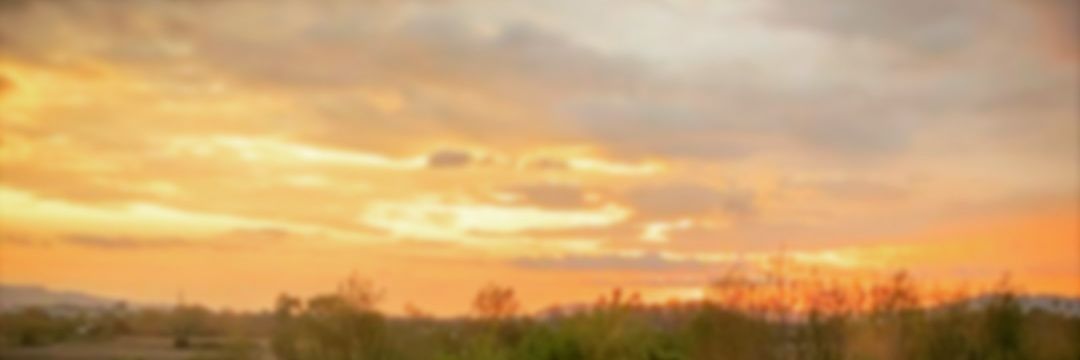 WheelerJoseph's profile banner image