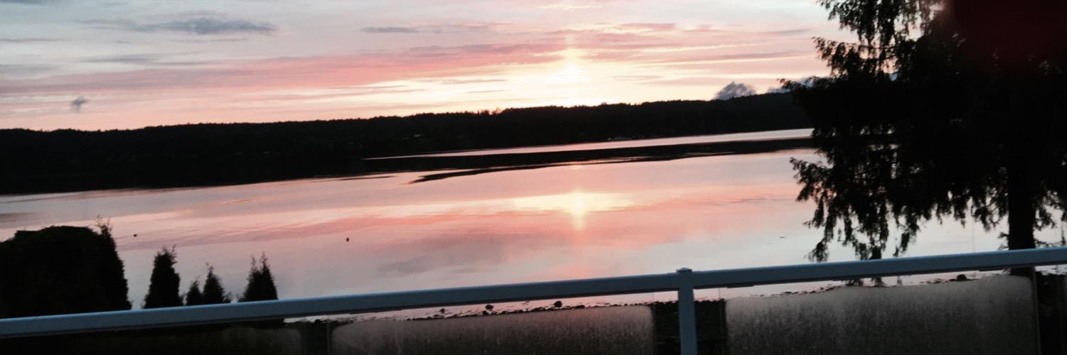 Laura Mac 🇨🇦 banner