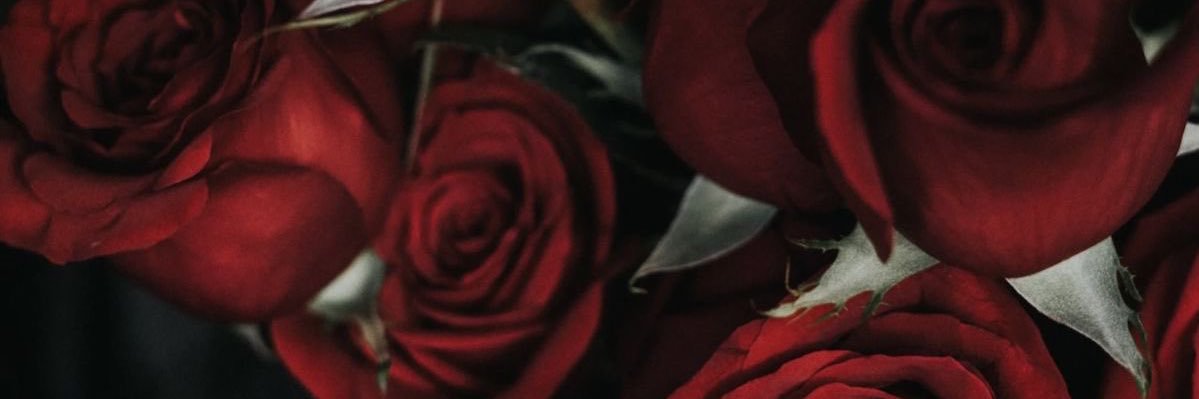 bitchwhateverr's profile banner image
