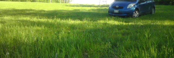 pascalcoder Profile Banner