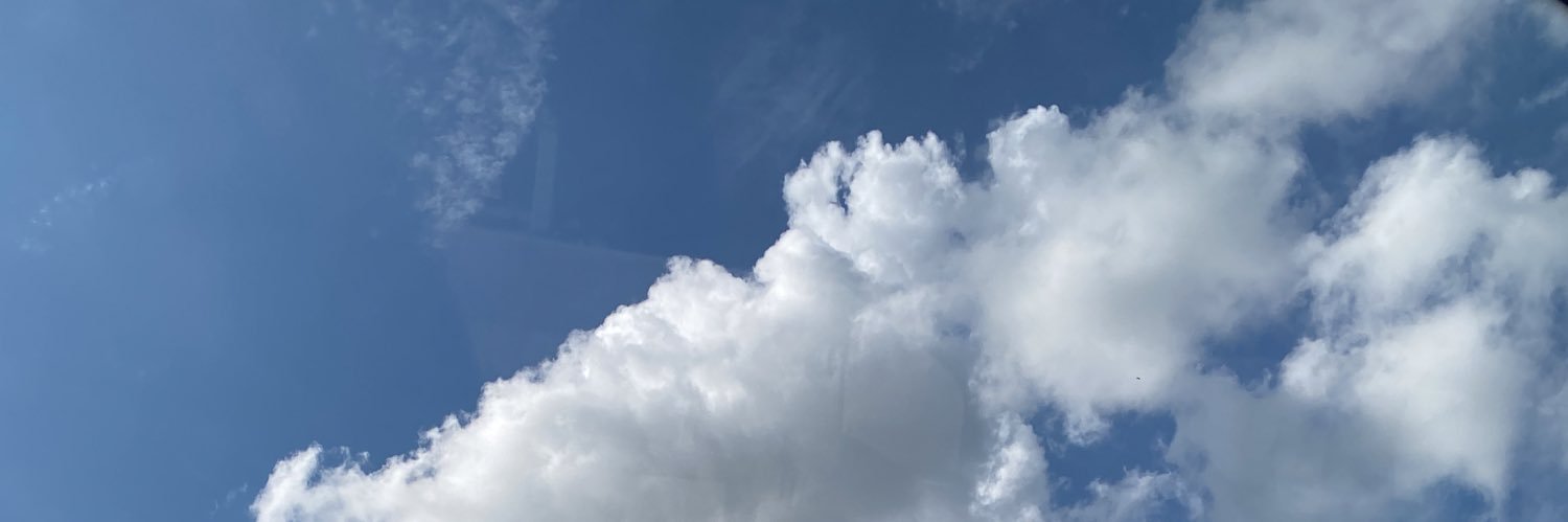 carrotyak's profile banner image