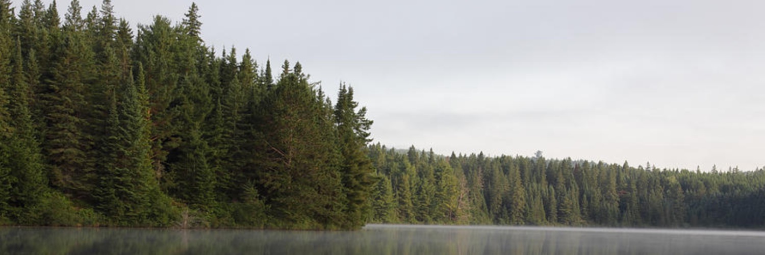 atti of grati banner