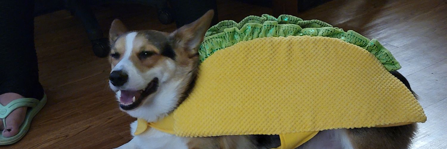 FriskyFelux's profile banner image