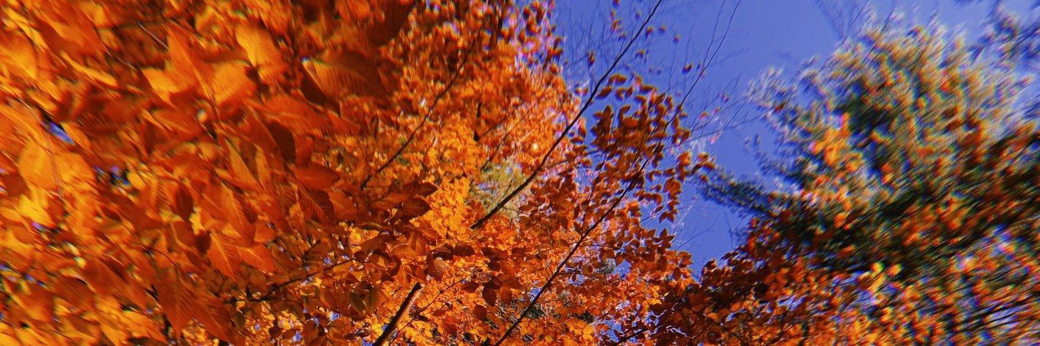 beeegraceee's profile banner image