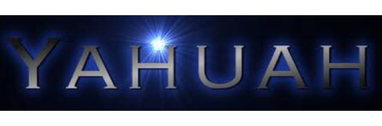 freshomatic's profile banner image