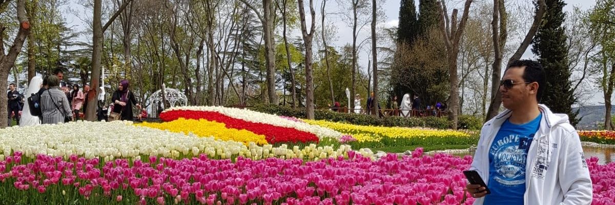 yahya33_2012's profile banner image