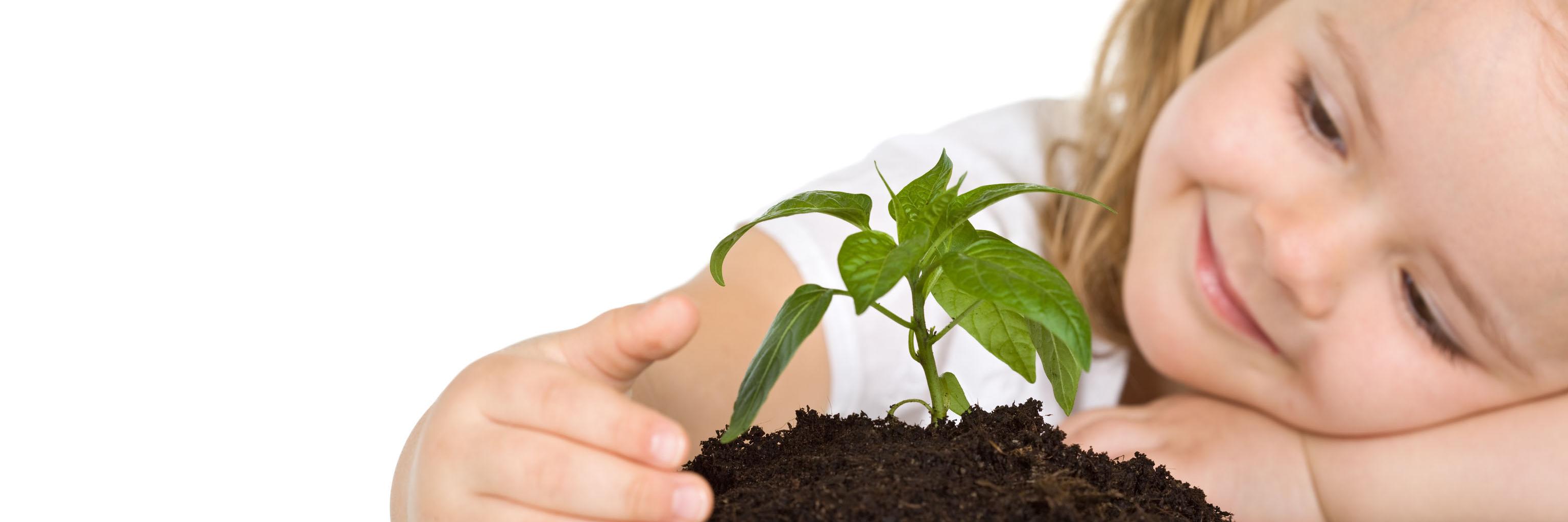 Previsión Personal banner